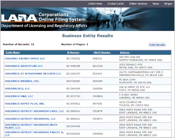 Michigan Llc Search